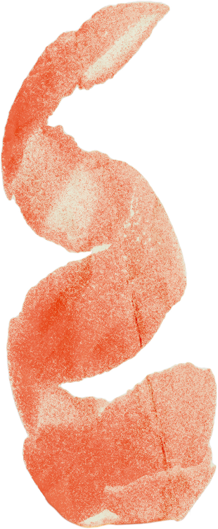 Duotone Rough Photocopied Orange Peel