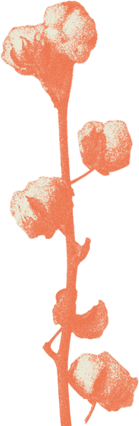 Duotone Rough Cotton